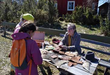 Totalt besöktes Stundars under denna tid av 3466 personer. Varje dag ordnades två guidningar och en gammaldags skollektion.