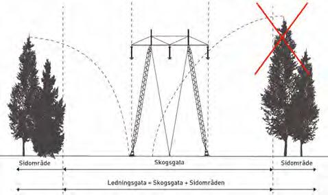 220 KV-LEDNING BYSINGSBERG-FINNSLÄTTEN, INKLUSIVE AVGRENING AROSVERKET 19 5.1.3 Ledningsgata och markbehov Området invid en kraftledning kallas ledningsgata.