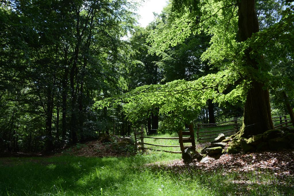 Allmänna Intressen, sidan 55 63. Naturmiljön värnas och vårdas 64. Högproduktiv jordbruksmark värnas. 65. Värdefulla vattenmiljöer skyddas. 66. Vattenskyddsområden ses över. 67.