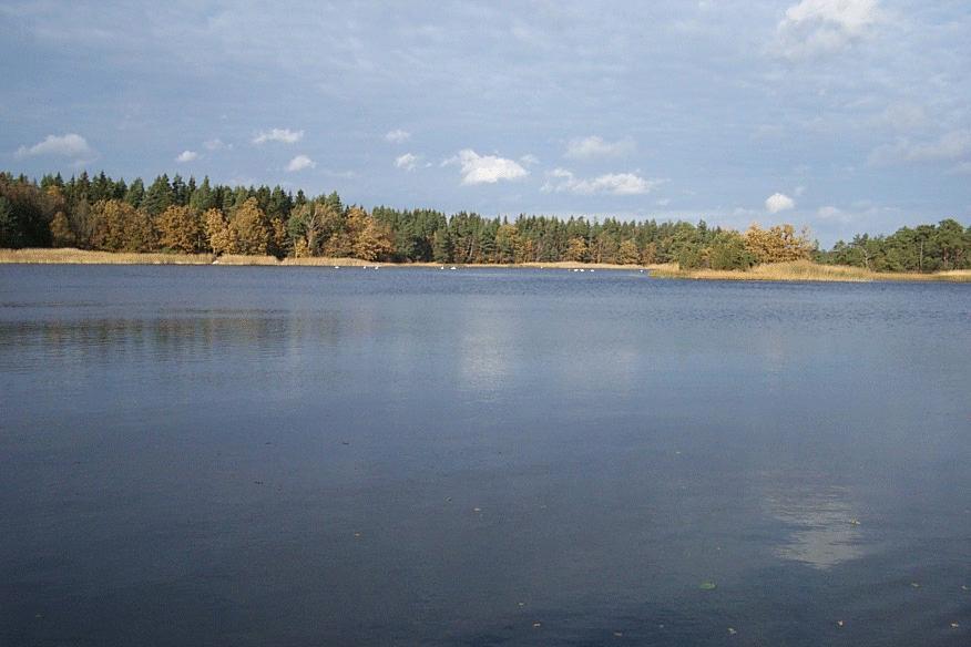 254. Nävraån 6307270 1538725 Åtgärd: Biotopvård, lekplatsförbättring. Nävraåns mynningsområde lämpar sig väl för att skapa nya lekvåtmarker. Målart: vårlekande sötvattensarter Prioritet: 3 255.