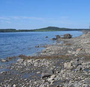 storsjölandskapet - natur kring strand Park Parkerna skiljs oftast från naturområdena genom att ha klippta gräsytor, anlagda gånstigar, träd- och buskplanteringar samt