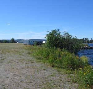 Alla arter som betecknas som ogräs påträffas på ruderatmarker men även förvildade trädgårdsväxter kan förekomma men blir oftast inte långlivade. Parkmark, Frösö Strand.