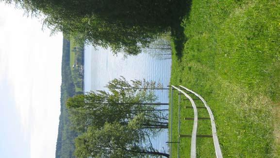 strandområden - frösön Naturvärden Här finns vackra exemplar av äldre björkar samt al, hägg och rönn.