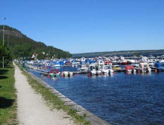 Trädplanteringarna skapar ett fint ramverk åt platsen men skulle också kunna kompletteras med t.ex. buskar eller perennplantering för ett bättre helhetsintryck.