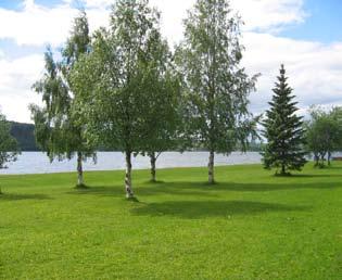 strandområden - lugnvik Kvalitéer Potential till att bli ett större sammanhängande grönstråk. Närhet till bostadsområde. Befintlig lekplats.