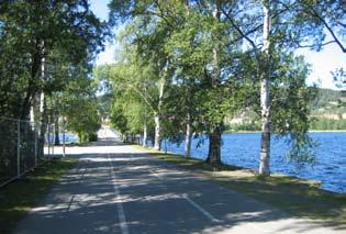 Dock är inslagen av grönytor i centrum få och det mest centrala området Badhusparken, som också har fått rollen som stadspark, har kommit att bli stadens gröna hjärta och är en populär