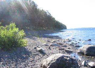 Mot stranden nedanför Odensalakärret finns ett säreget strandområde kallat Kalkaren med en brant strandskärningdär kalkbleke fälls ut. Området är den tredje Skogs- och naturpärlan längs stränderna.