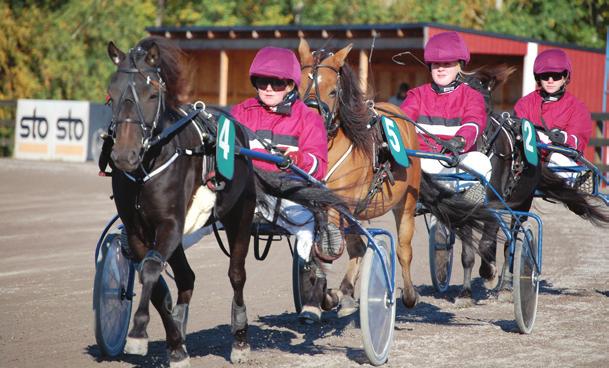 Rosa StL strö Laxå Bruks lopp. Kategori A, köra av AB eller C licensinnehavare. m. Tillägg Intervallhanicap grunti., intervall s/ m. Prispoäng: 7(7). Ingen insats och inga prispremier i etta lopp.