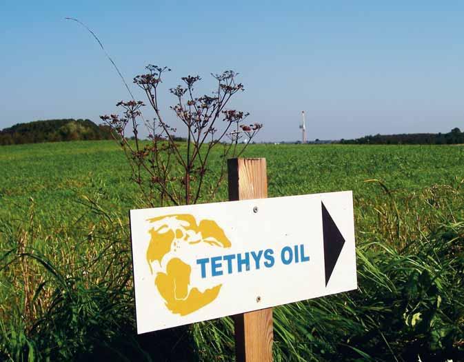 Policy Liksom allt annat är Tethys Oil och dess anställda, kunder, samarbetspartners och aktieägare en del av vårt gemensamma samhälle och vår miljö.