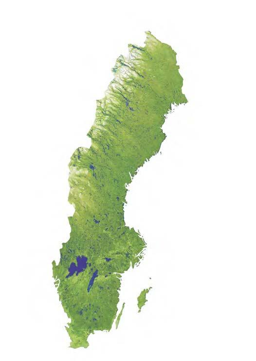 Den detaljerade flygbildsinventeringen sker inom den centralt placerade 1 1 km rutan.