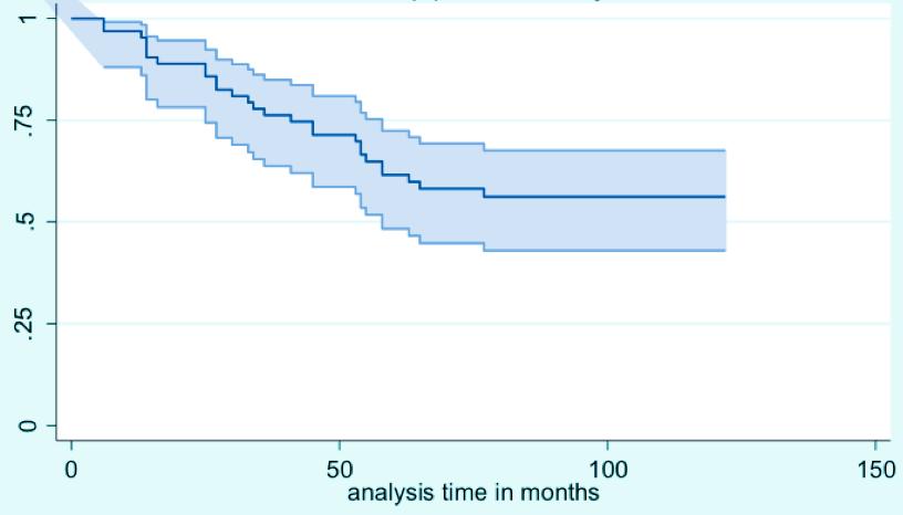 Revisionsstatistik Första