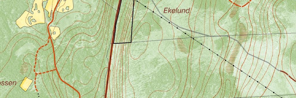 2 Disposition och skötsel av mark Naturreservatet ska i huvudsak lämnas för fri utveckling.