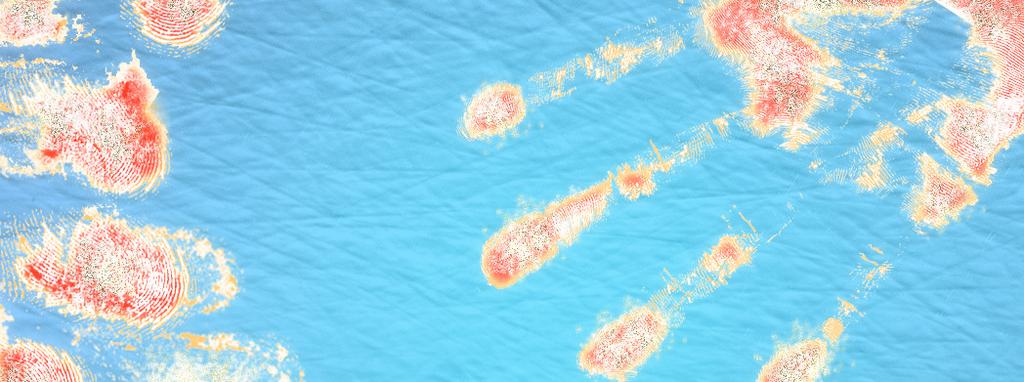 Escherichia coli bryter ner 99,9 % av de bakterier som finns på ytan genom att penetrera bakteriernas cellmembran.