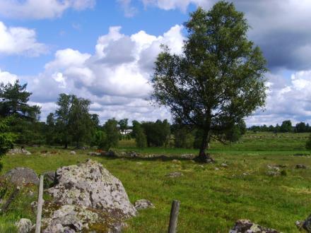 ekonomiskt brukande, friluftsliv, turism,