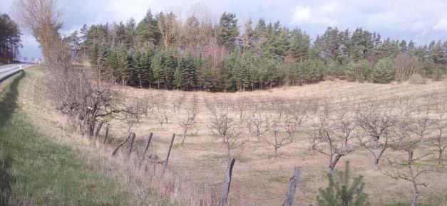 Figur 23. Till vänster: Fält med äppelodling. Till höger: Åkermark med odling av olika grödor.