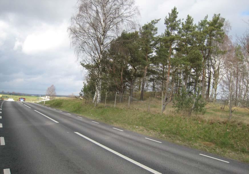 Figur 40. Detta foto är taget mot söder, dvs i motsatt riktning mot Figur 38. Svart streck visar var gcvägen kommer att korsa vägen.