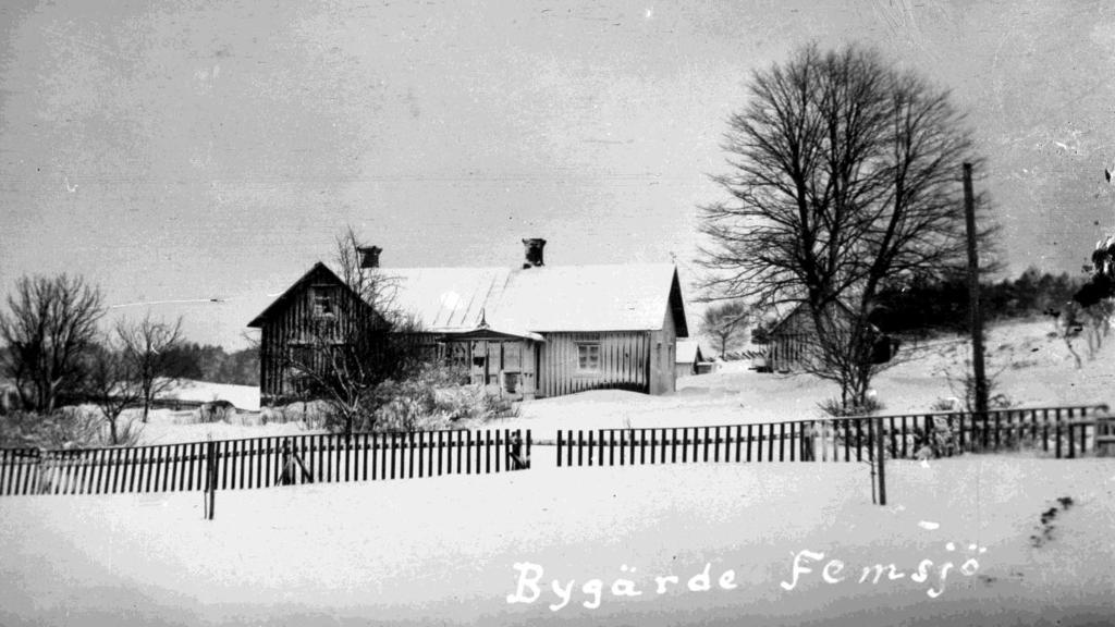 Utöver gårdar och offentliga byggnader som kyrka och skola hade det redan på 1920-talet byggts några privatbostäder och så fanns förstås en affär.