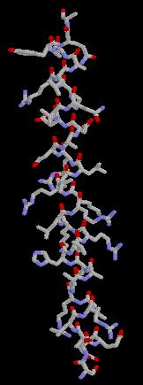 Ovan: den tredimensionella strukturen hos proteinet myoglobin.