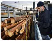 tjänsterna; TimetoMarket Back to basics: Integrerad partner Skogsbrukets Datacentral Nya