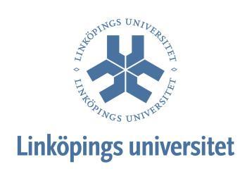 Linköpings Universitet, Institutionen för Ekonomisk och Industriell utveckling Magisteruppsats, 15 hp Höstterminen 2009 ISRN: LIU IEI FIL A - -