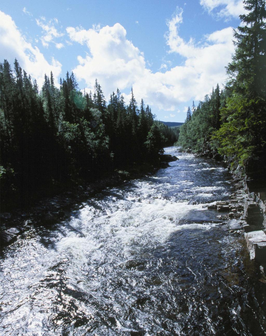 Tilldelning av bygdemedel 2007