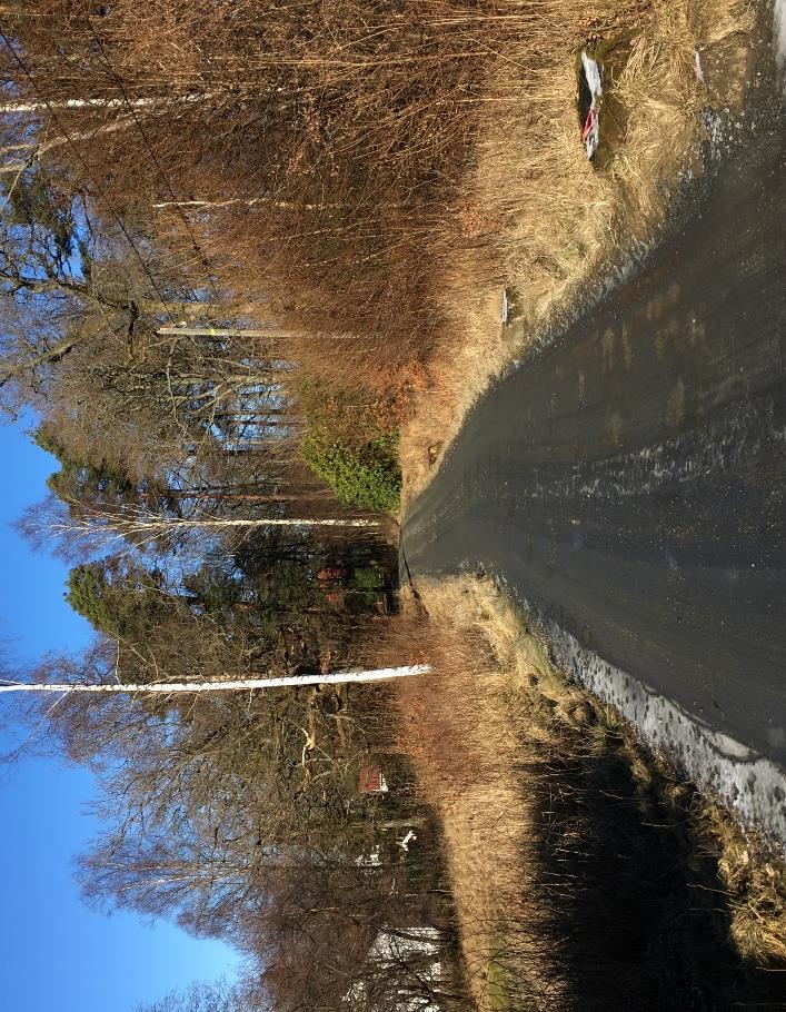 Åsenvägen, som utgår från Södra Långvägen, är en enfältig väg med en bredd av cirka 4,5 meter. Den nordvästra delen av vägen som leder till Stamsjövägen har en bredd av cirka 6,5 meter.