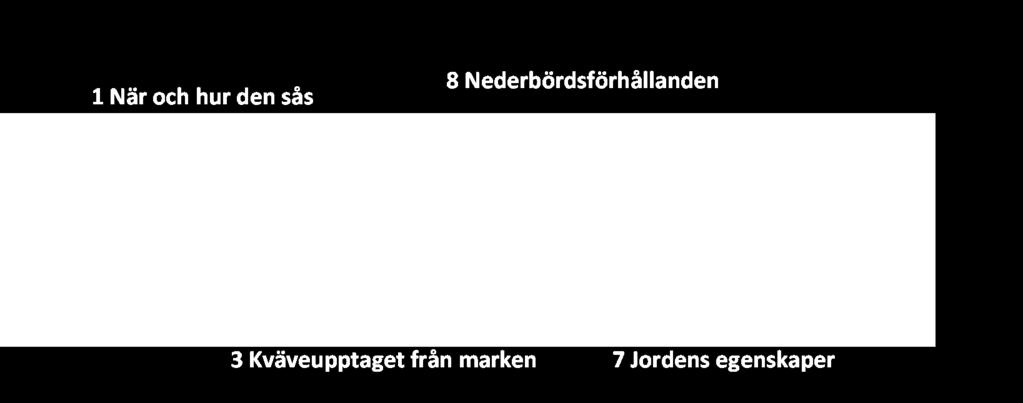 fånggrödor av gräs+klöver ger viss gödslingseffekt Rena baljväxtfånggrödor ger svag effekt på