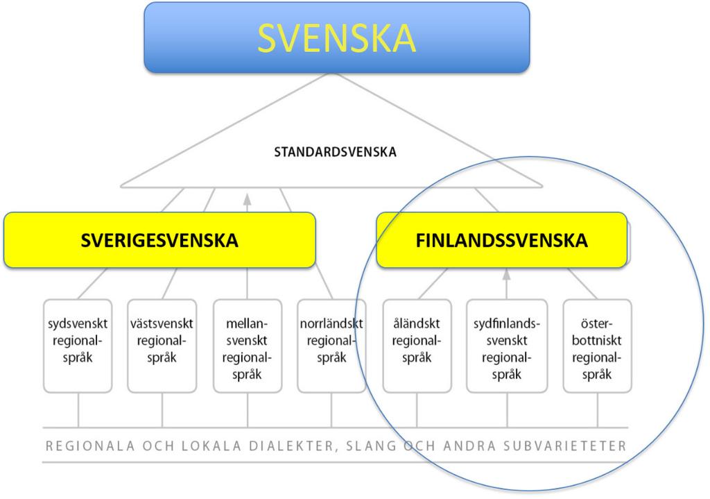 Svenskans s.k. normcentrum finns i språkområdets centrum, dvs. i Sverige, men ett svenskt normcentrum finns också i språkområdets periferi i Finland.