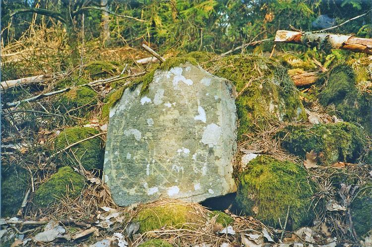 Bygdevandring i Torsbo, 1 maj