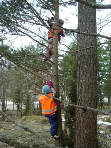 Det är alltid lika roligt att klättrai träd. Mål 5: Minska stressen. Barn lever i en miljö där de oftast utsätta för stress av olika slag.