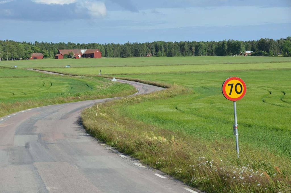 Artrik vägkant på väg 549 vid Segerstad.