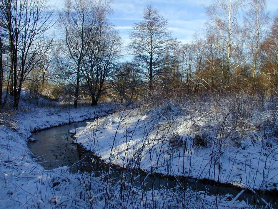 23 Område 10 Igenväxningsmark nordost om Trollenäs slott Beskrivning: Ett mycket heterogent område. Saxån meandrar kraftigt med dubbla åfåror i delar av loppet.