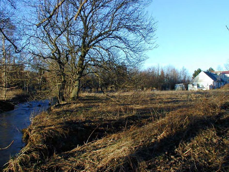 29 Område 13 Ohävdad gräsmark Västra Strö Beskrivning: Öppen igenväxningsmark dominerad av fuktig vegetation, mest högörtäng, men även starrkärr. Östra delen friskäng.