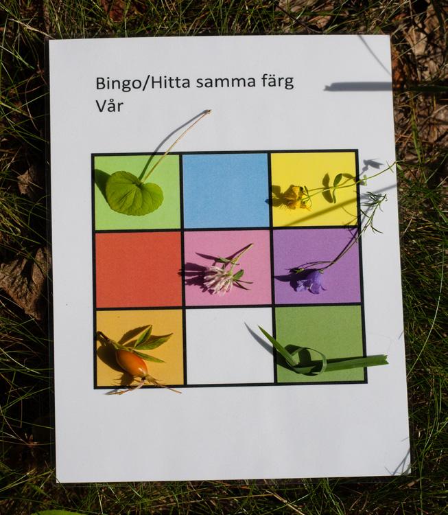 Färgbingo Gör en bingobricka med text och/eller färger. Låt deltagarna gå ut och hitta olika naturföremål i respektive färg. Vem får raden/ brickan full först?