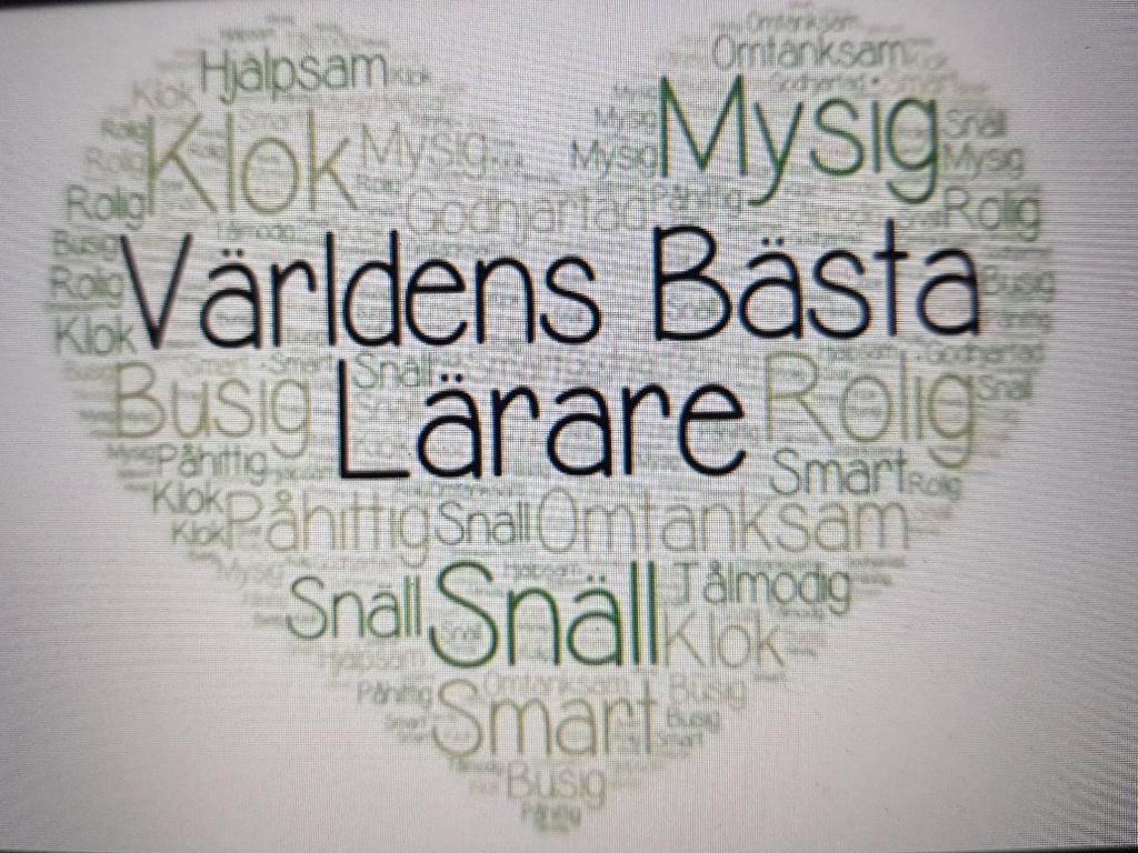 Vem är den bästa läraren enligt eleverna? "Jo, en sådan som ser att ingen person är den andra lik och att alla har sina olika behov.