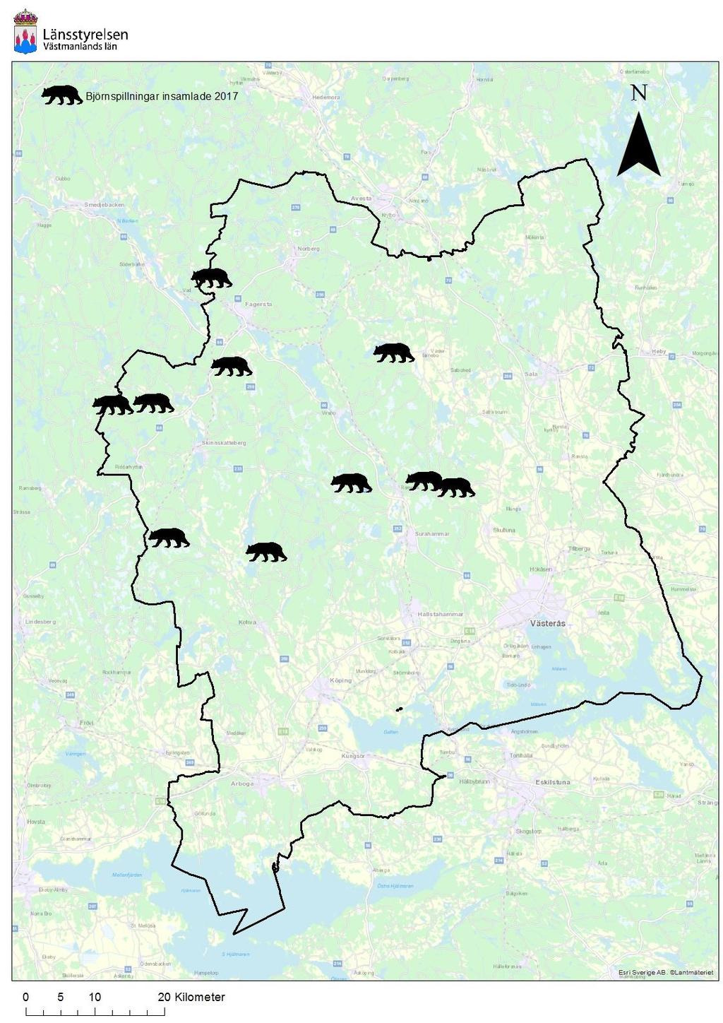 2.4 Spillningsinventering björn Under inventeringssäsongen genomfördes en spillningsinventering för björn i länet.