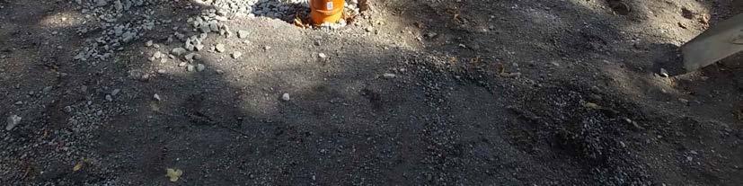 vid