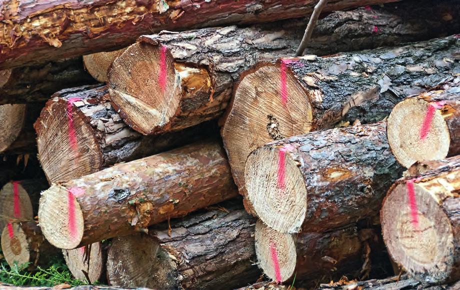EGENSKAPER Utmärkt vidhäftning och hög täckförmåga på alla underlag av trä. Snabbtorkande: ca 5 min. Markeringens hållbarhet: 1 2 år beroende på underlag och appliceringsförhållanden.