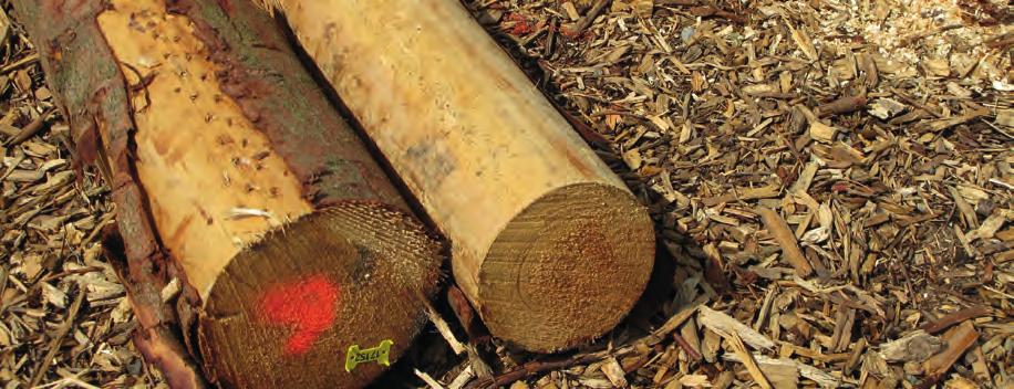 EGENSKAPER Kan användas på alla träslag, unga eller gamla träd, växande eller avverkade med slät, skrovlig eller sprucken bark. Luktfri.