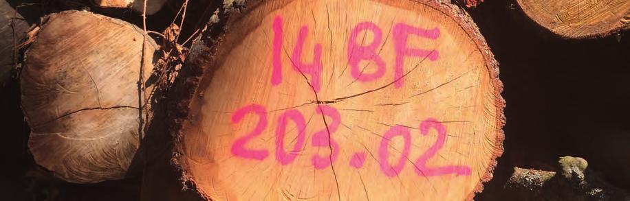EGENSKAPER Hög synbarhet på alla underlag av trä även på långt avstånd tack vare den starkt fluorescerande sammansättningen. Utmärkt hållbarhet och täckning utan rinnande färg.