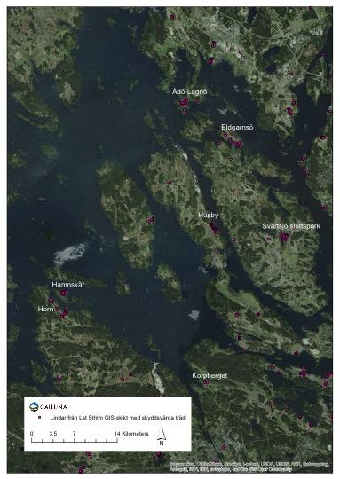 Figur 1. Översiktskarta över de lindområden som omfattas av lindstrategin.