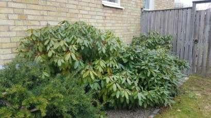 Övrigt: Kontroll av jordade el uttag har utförts utan anmärkning. Garage/Carport: Fristående garage Besiktningsutlåtande 1.