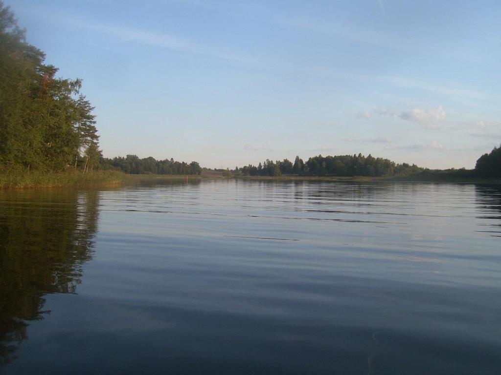 Figur 4. Södra Åsunden där Stångån rinner ut och bidrar till en mer näringsrik sjö. Foto: Carl-Johan Månsson I Åsundens avrinningeområde dominerar skogsmark, jordbruksmark uppgår till 13 %. Figur 5.