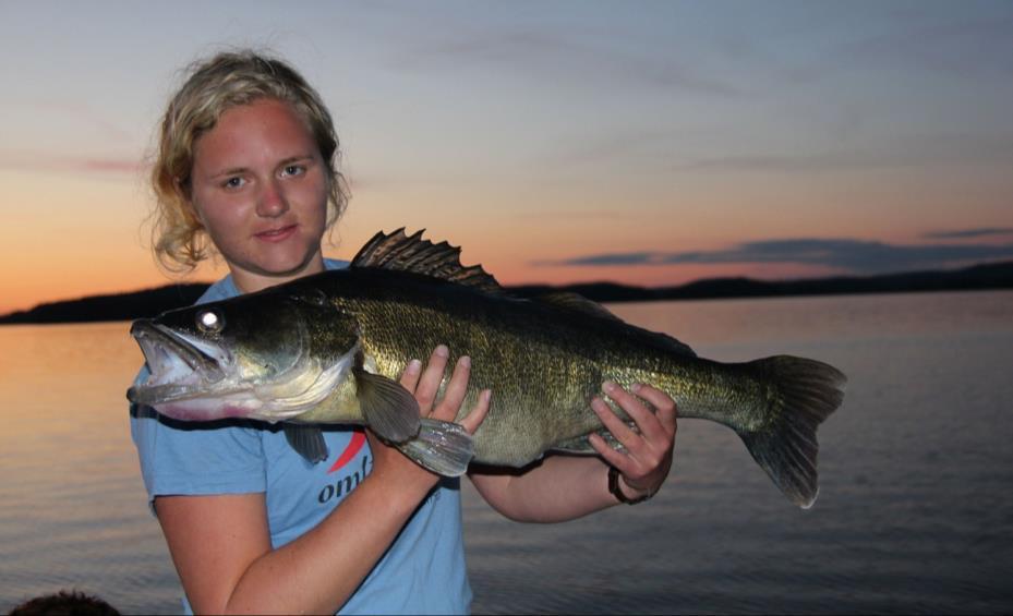 Sportfisket i Åsundens FVO Allmänt Sportfisket har främst varit inriktat på främst gös men även gädda och abborre. Visst riktat mete efter karpfisk förekommer även.