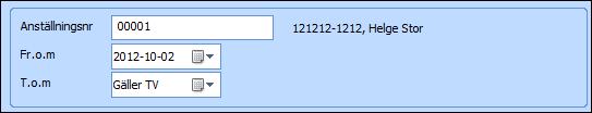Nedan beskrivs anställningsbildens olika delar: Anställningsnr Fr.o.m T.