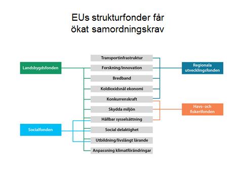 39 (EJFLU) och Europeiska havs- och fiskerifonden (EHFF), är att samordna olika politikområden och se till att insatserna kompletterar varandra där det är relevant.