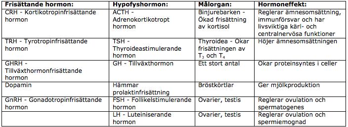 Den första av dessa hypothalamus-hypofys-axlar är HPA-axeln vars målorgan är binjurebarken.