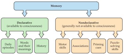 Kunna redogöra för kognitiva processers funktioner (exempelvis emotion, minne, språk), samt koppla ihop dessa med underliggande neurala strukturer (S2, S3) Minne Minnet gör att vi kan lära oss nya