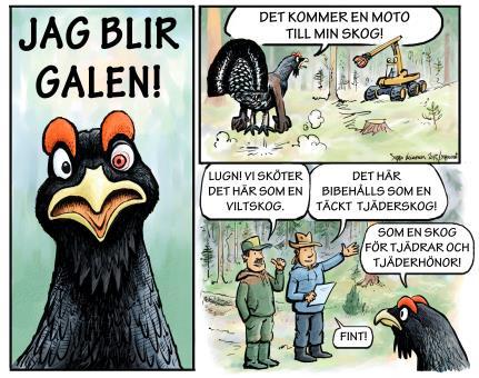 2.2016 Möjligheter för kontinuerlig odling Luck- och plockhuggning frigör utrymme för kronskikt och undervegetation förverkligas så att skogen bevaras bevuxen