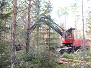 2.2016 Enkla saker skydd och näring Förändring av tankesättet Undvikande av parkliknande skogar Behovet av förröjning Trädbeståndens och buskskiktens